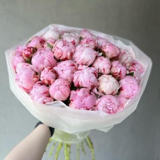 35 пионов голандских в нежном оформлении