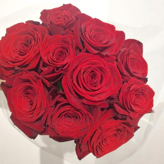 RRosas Vermelhas 10 Pes Equador