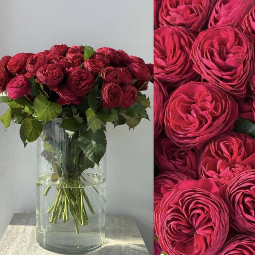rose spray rosse + vaso