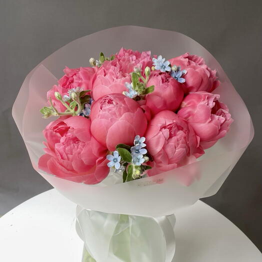 Koralowe piwonie 9+ oxy