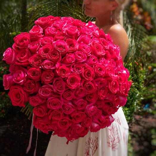 100 hot pink roses