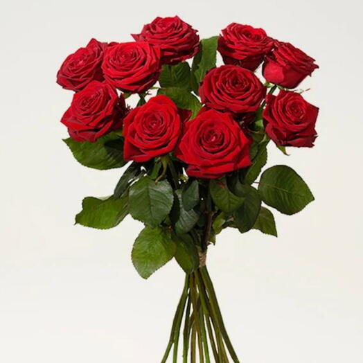 Red roses 10 pcs