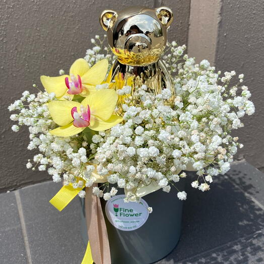 Gypsophila box with teddy bear