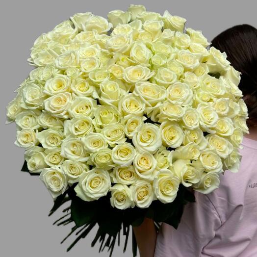 101 white roses