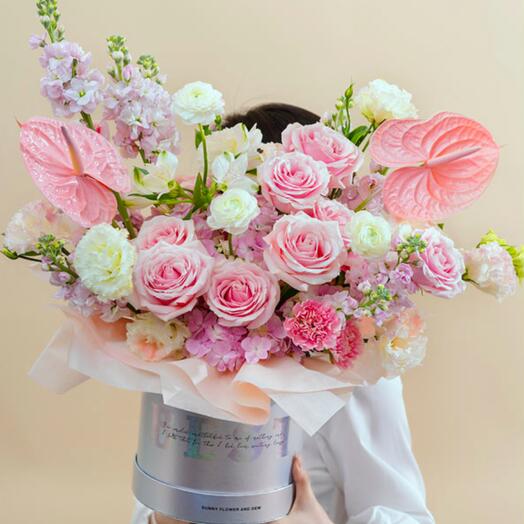 Sweet Limited / High-end Hug