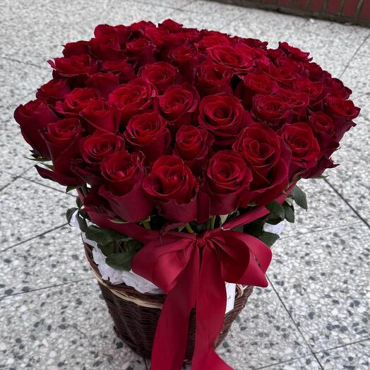 51 Red Rose Premium