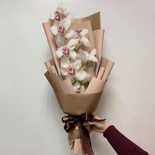 Орхидея в стильном оформлении «Aude»