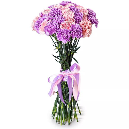 27 mieszanka dianthusow