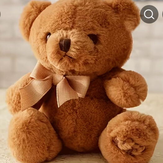 Teddy Bear