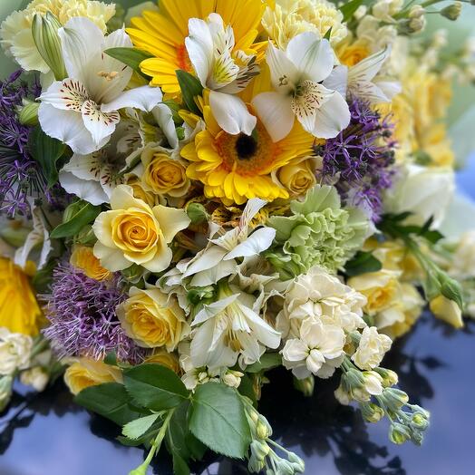 Солнечный день