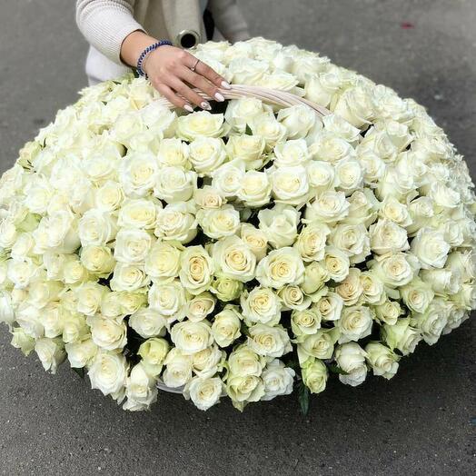 301 Roses Basket
