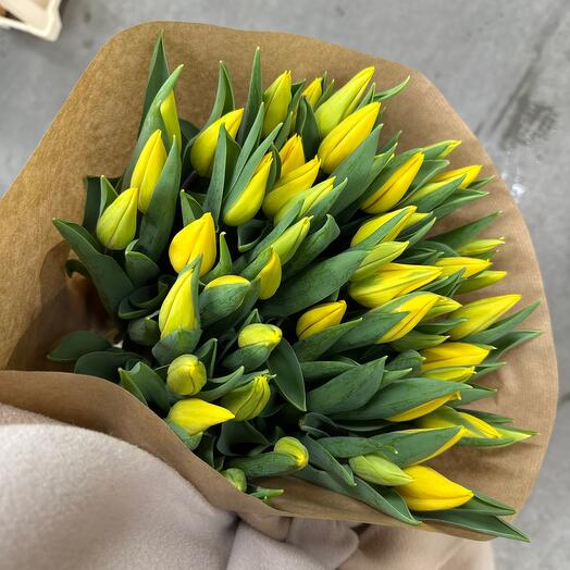 Yellow tulips