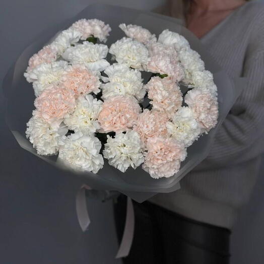 Букет из 25 диантусов