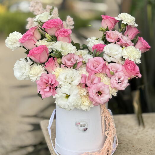 Romance de Hollywood