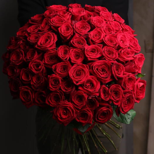 75 роз Эквадор под ленту «Lucentement»