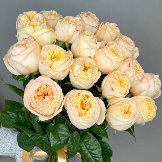 Букет пионовидных роз сорта Крем Экспрешн