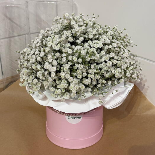 Box of white baby's breath