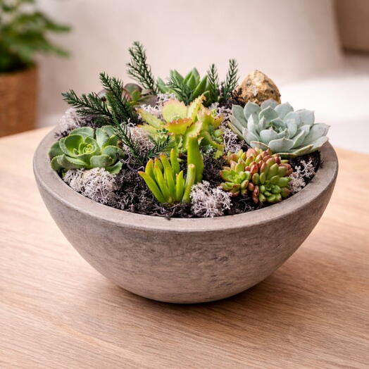 Potted Plant Green Composition