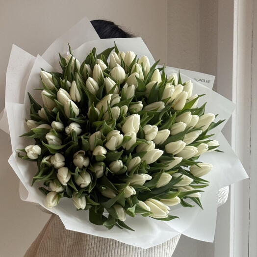 101 white  tulips