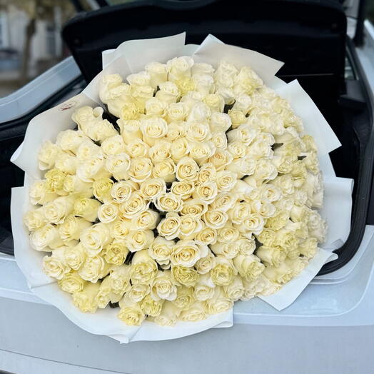 151 white roses bouquet