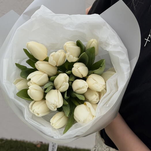 20 белых тюльпанов