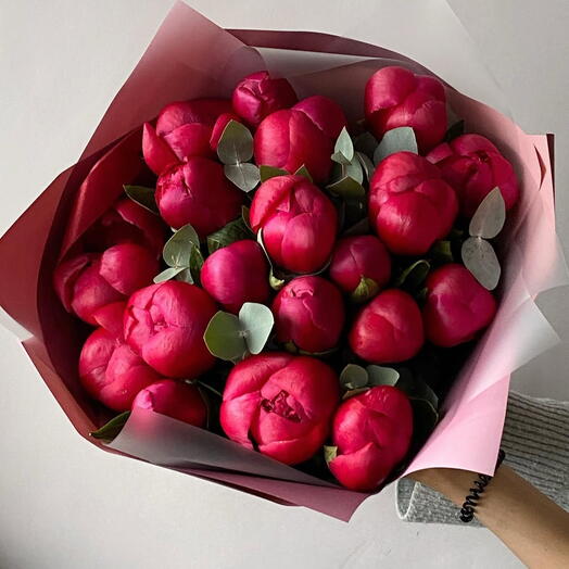Peonies Burgundy size M