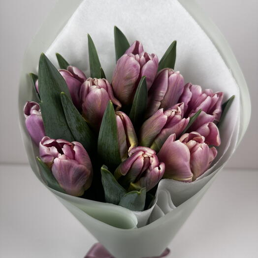 Tulips Bouquet Cracker Parrot