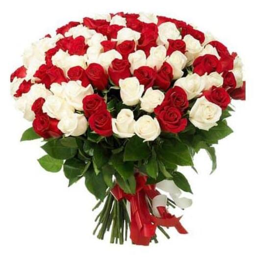 101 red and white roses