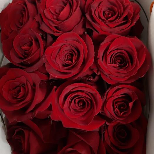 25 red roses 60-70 cm