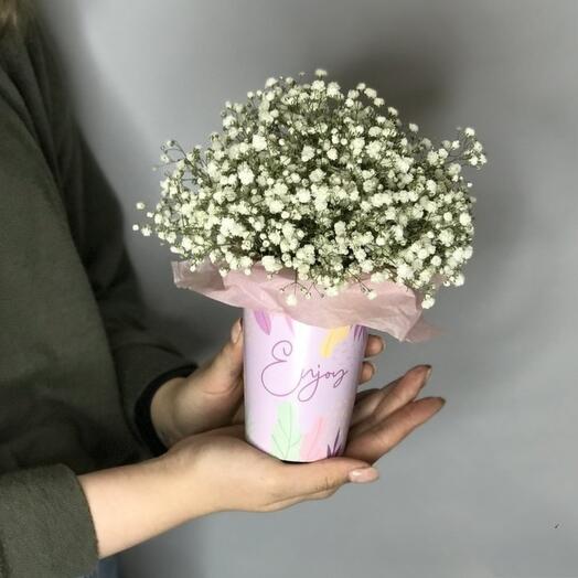 Gypsophila in a Coffee Cup