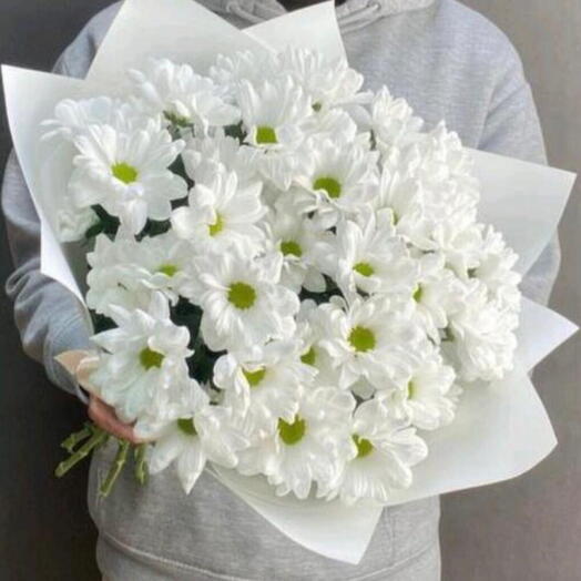 Хризантема