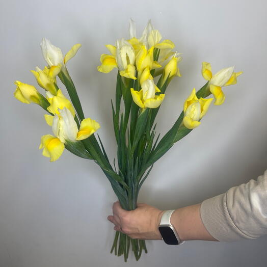 Iris yellow bouquet