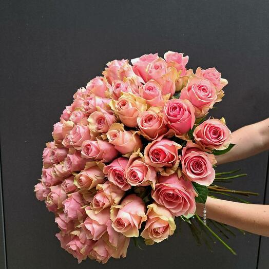 Rose, 65 cm, Inevitable