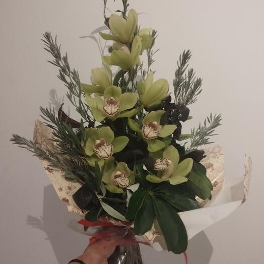 Haste Orquideas ROSAS Pink Red Espiral