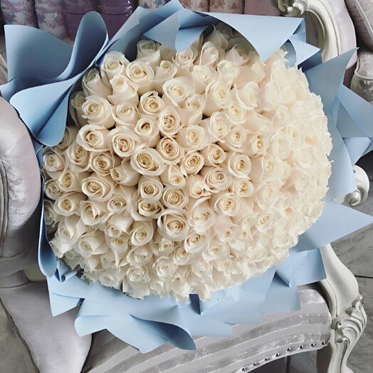 101 white roses