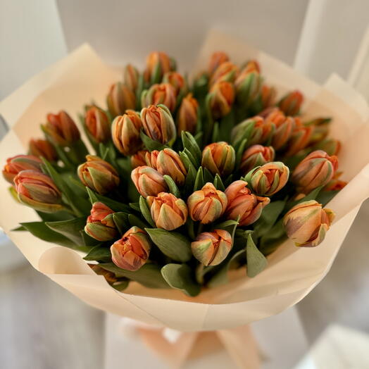 Soft orange tulips