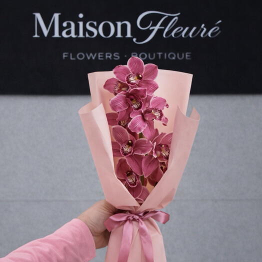 Orchidee -Cymbidium rosa