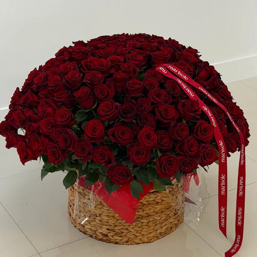 200 Roses in Basket - Fresh Premium Longstem Roses