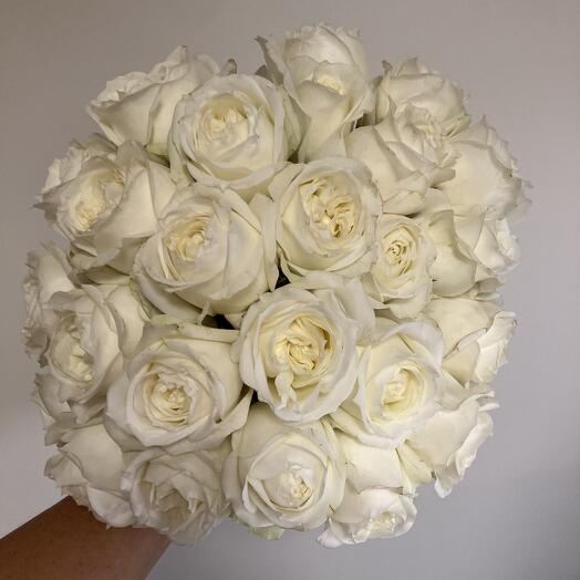 25 White Roses