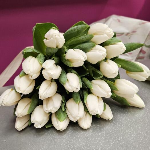 White tulips 25pcs