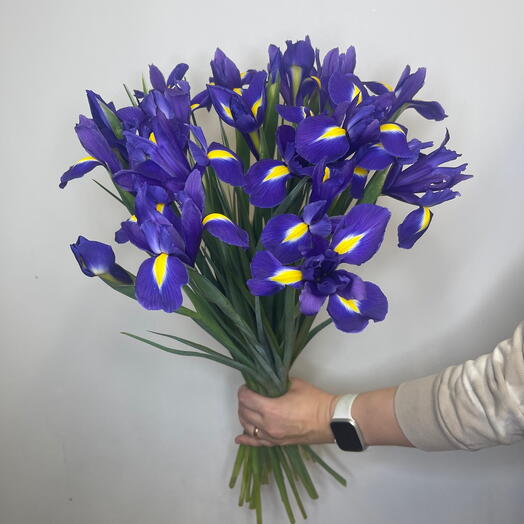 Iris flowers 20