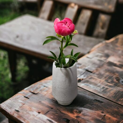 Peonies (Mixed colours), price is indicated per stem