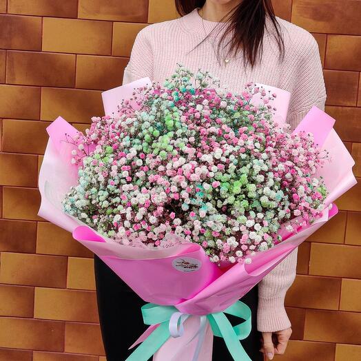 Gypsophila flowers M