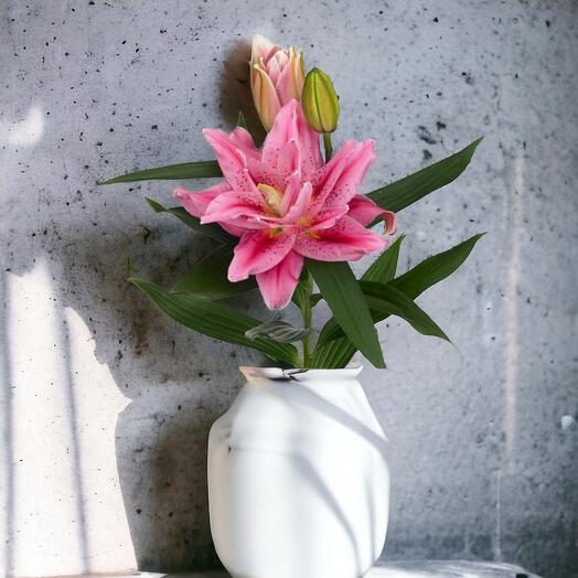 Pink Lillies, price per piece