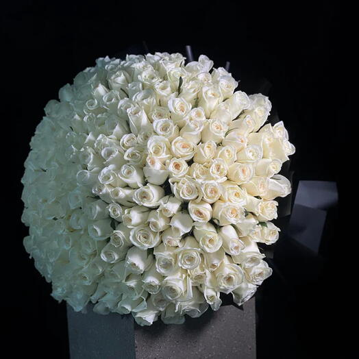 Bouquet Big White Heart of 201 white roses! Win Her heart at first sight :)