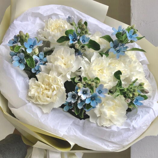 Garofani e oxypetalum blu