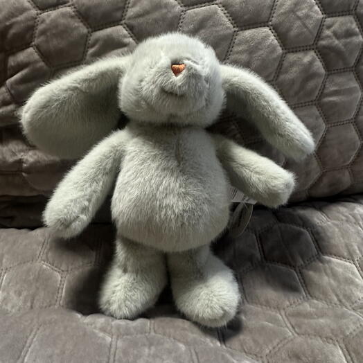 Banny Little Roomies( light green )