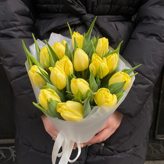 Tulips yellow 15