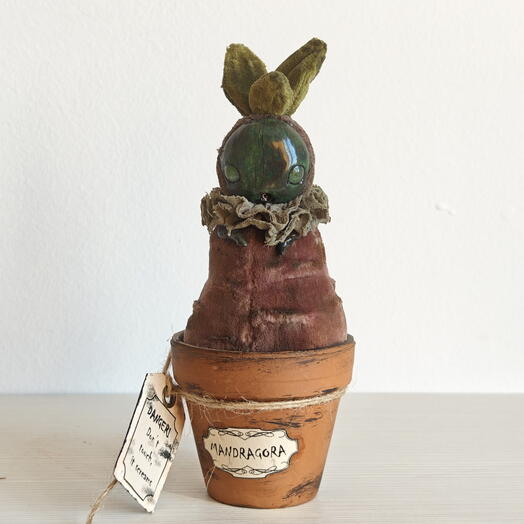 Mandragora (green eyes)