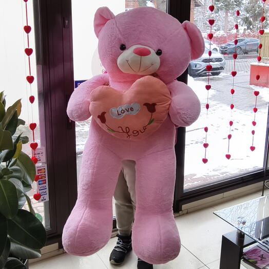 Giant teddy bear 145 cm